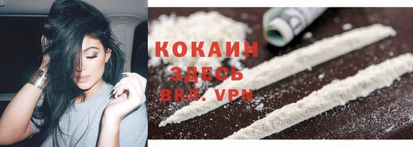 apvp Снежинск