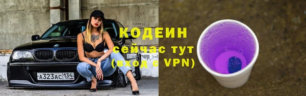 дмт Вяземский