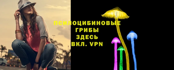 спиды Вязьма