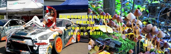 дмт Вяземский