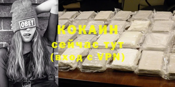 дмт Вяземский