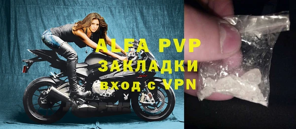 шишки Снежногорск