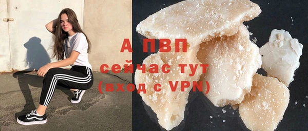 дмт Вяземский